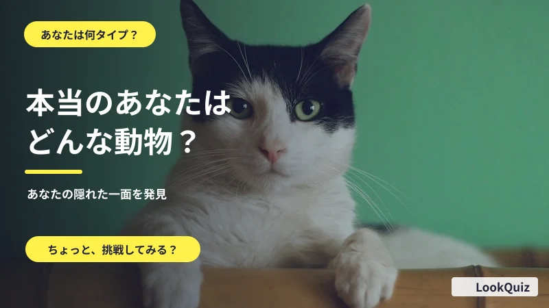 本当のあなたはどんな動物? — あなたの隠れた一面を発見