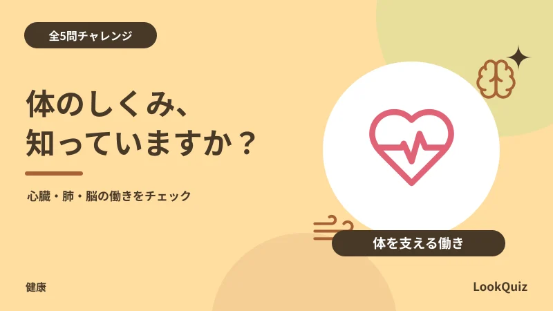 体のしくみ、知っていますか? — 心臓・肺・脳の働きをチェック