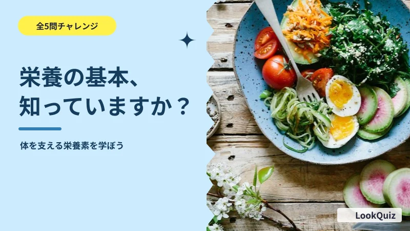 栄養の基本、知っていますか? — 体を支える栄養素を学ぼう